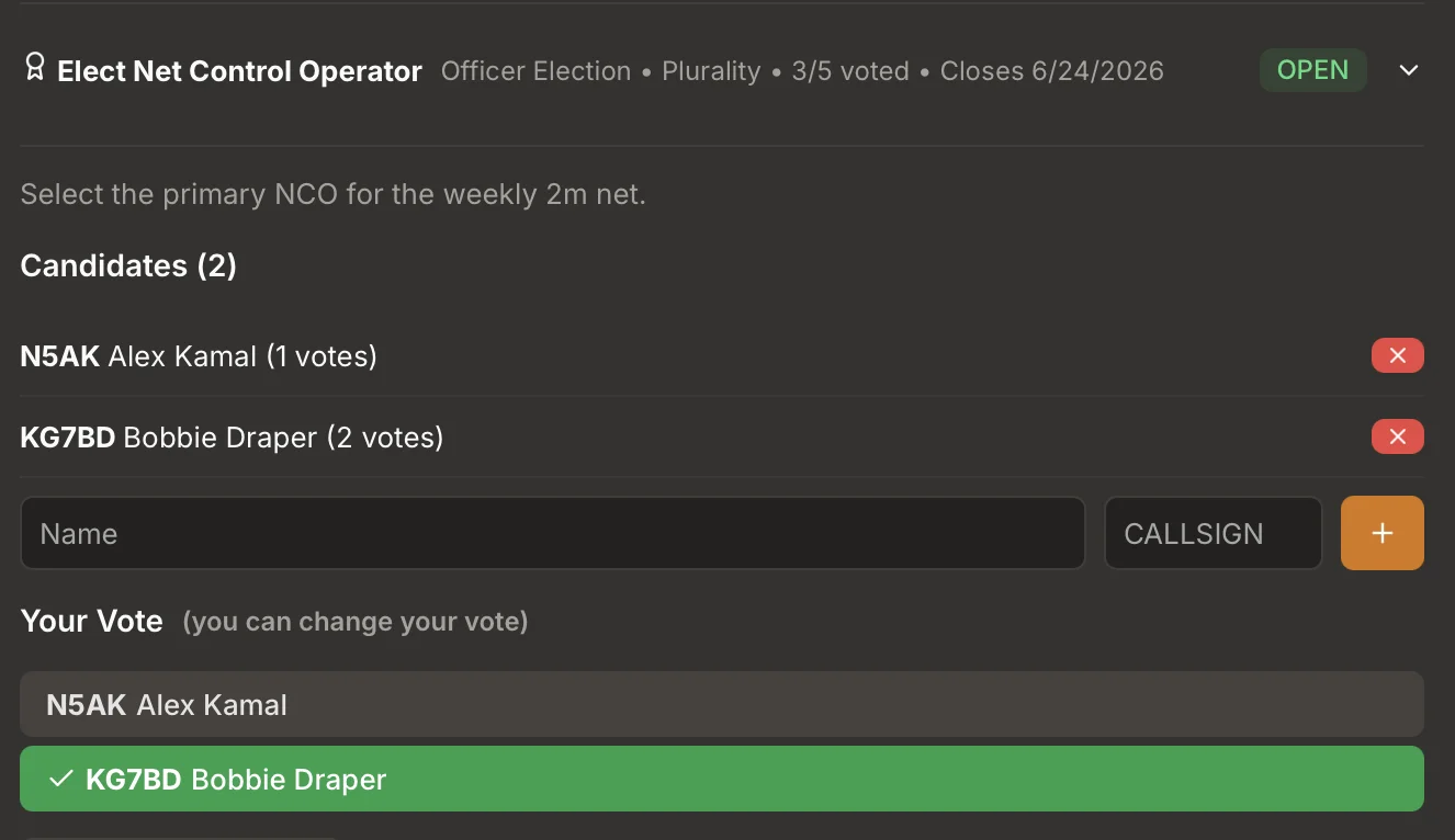 Online ballot voting experience